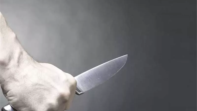 اعترافات قاتل سيدة كفر الشيخ ونجلها.. 