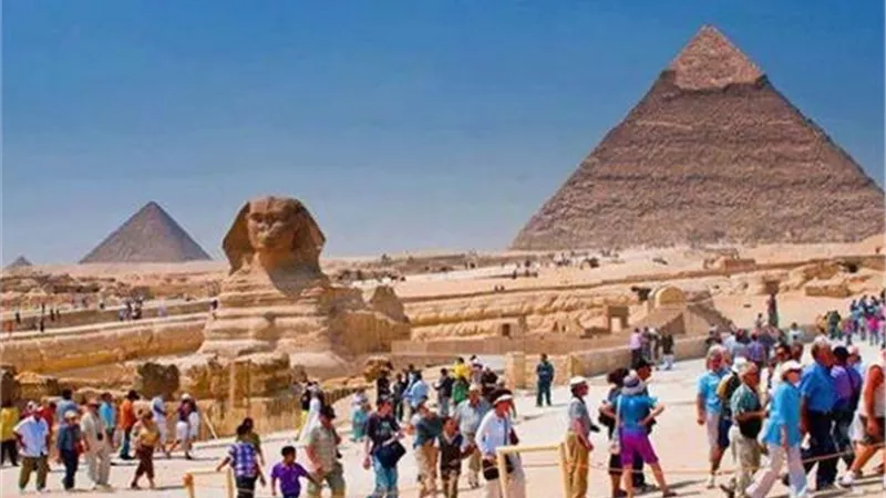 وليد البطوطي: حركة السياحة ستشهد ازدهار بعد قمة المناخ.. فيديو