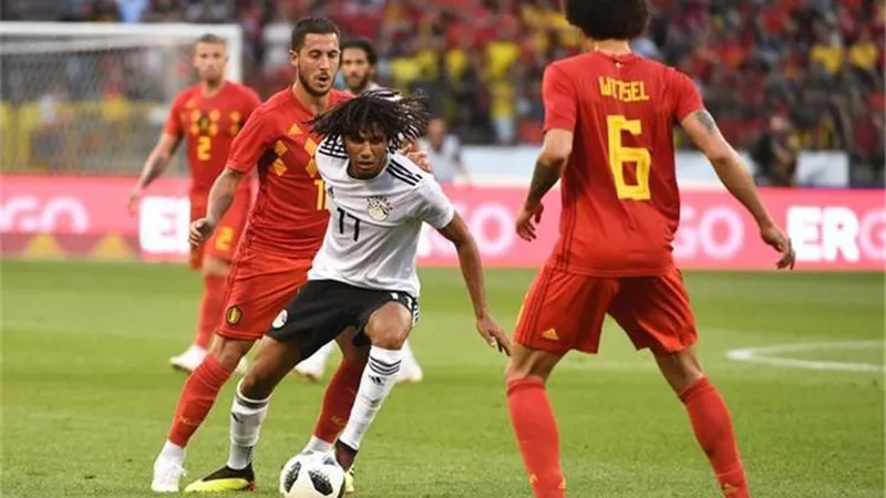 ناقد: مباراة مصر وبلجيكا أول اختبار للمدرب البرتغالي روي فيتوريا