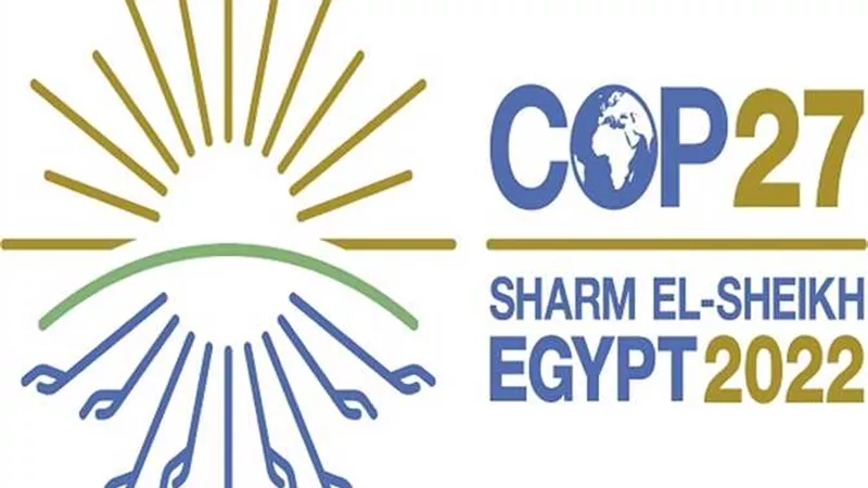 الإعلام الدولي: صفقات ومبادرات وتنظيم ناجح لمصر في مؤتمر المناخ