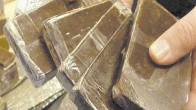 ضبط 