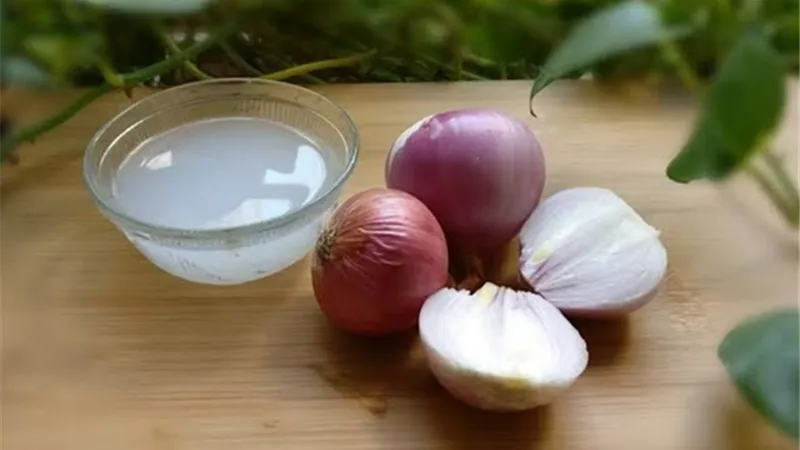 فوائد ماء البصل على الريق