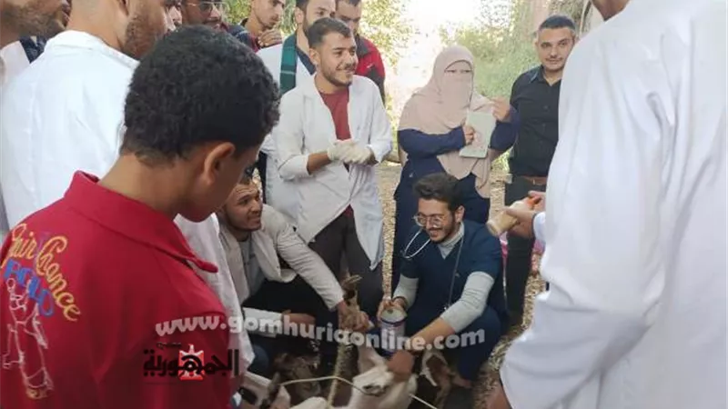 جامعة السادات تدشن قافلة بيطرية وزراعية بقرية