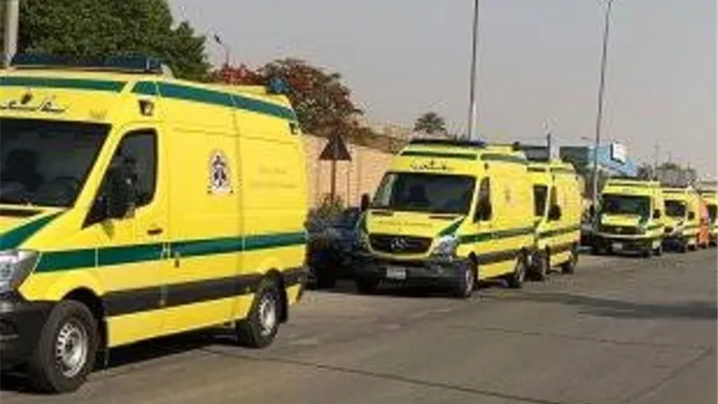 بسبب اغتسال الحصان . انتشال جثتي شابين أبناء عمومة غرقا بمياه النيل