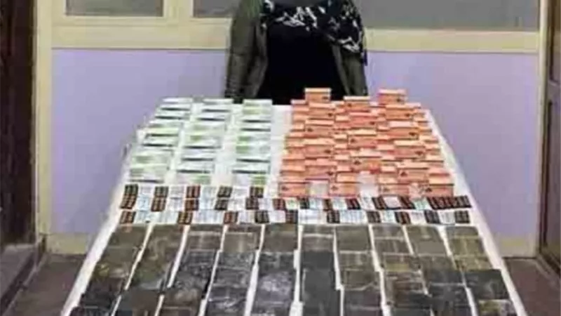 سقوط تجار الكيف في المحافظات خلال حملة أمنية