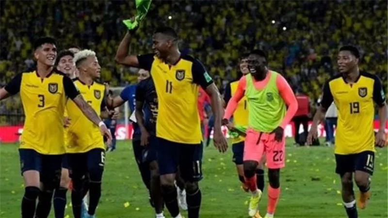 تشكيل الإكوادور الأساسي لمواجهة قطر في افتتاح كأس العالم