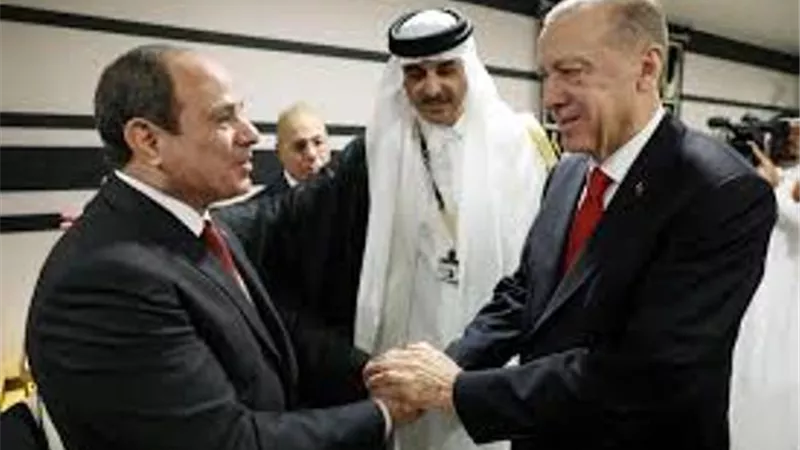 الرئاسة: توافق بين السيسى وأردوغان على تطوير العلاقات بين مصر وتركيا