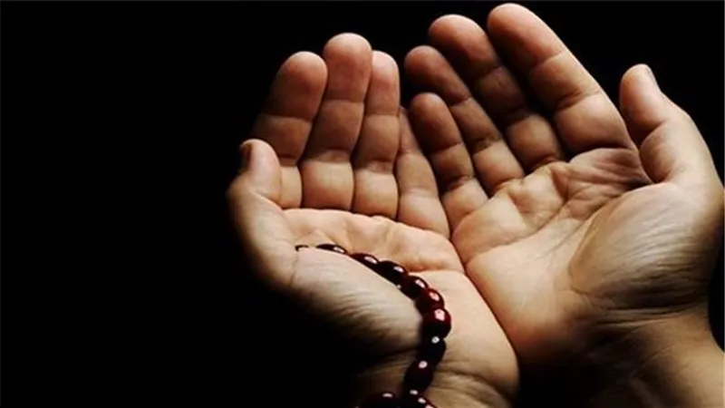 قول العلماء فى الالتزام بالعدد فى الذكر