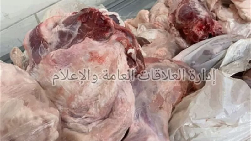 ضبط 6 طن سكر مُدعم و أجزاء دجاج فاسدة في الإسماعيلية.صور