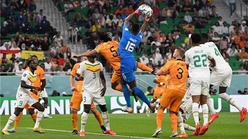 كأس العالم.. ترتيب المجموعة الأولى بعد فوز هولندا على السنغال