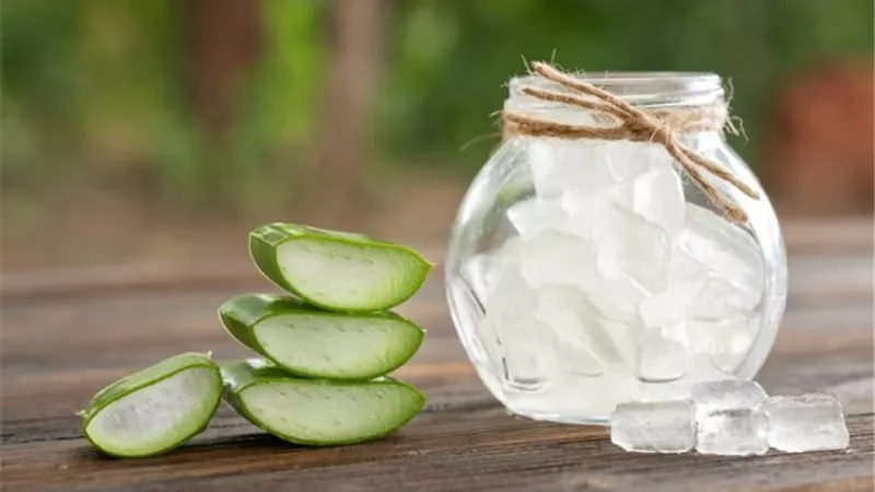 7 طرق لعلاج لسعات الناموس طبيعيًا