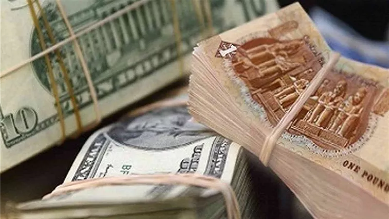 استقرار أسعار الدولار مقابل الجنيه المصري في بداية تعاملات اليوم