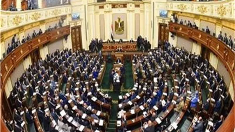 برلمانية تطالب بتشكيل وحدات لمواجهة العنف ضد المرأة بالجامعات المصر