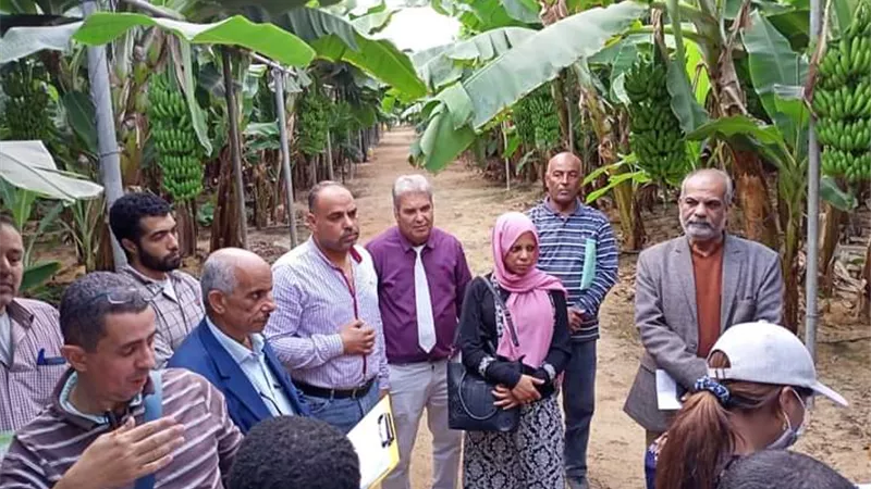 وفد متعدد الجنسيات يتفقد الزراعات المحمية بالإسماعيلية