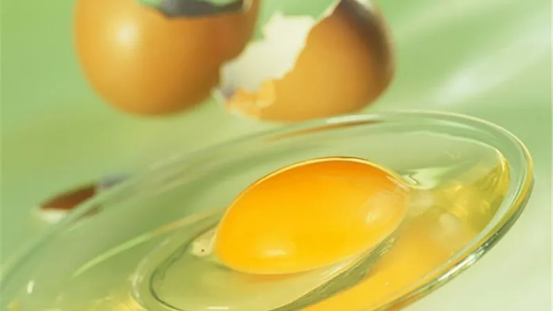 احذر استخدام البيض فى هذه الحالة