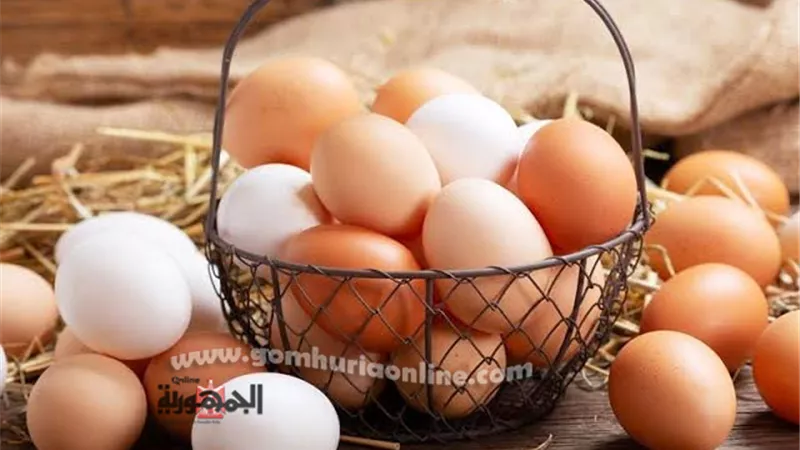 أسعار البيض اليوم الخميس 24-11-2022