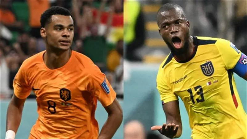 تعليق فان جال على مواجهة هولندا لمنتخب الإكوادور بالمونديال