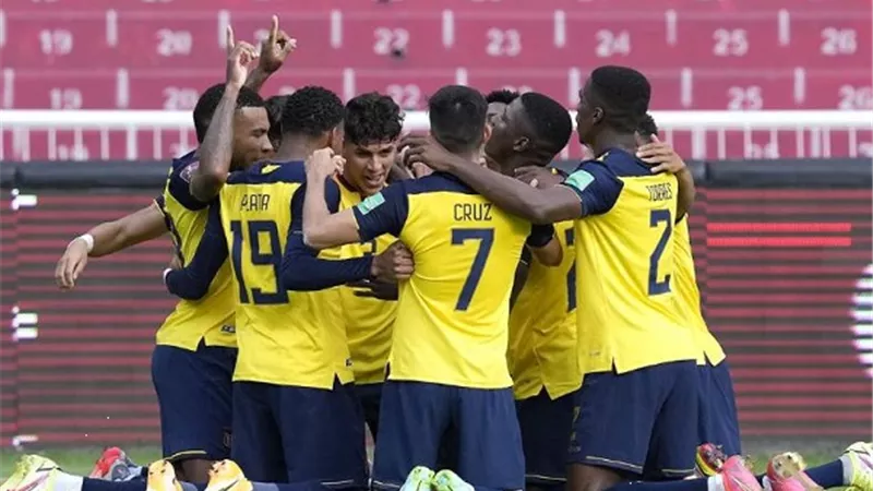 كأس العالم 2022.. التشكيل المتوقع للاكوادور امام هولندا