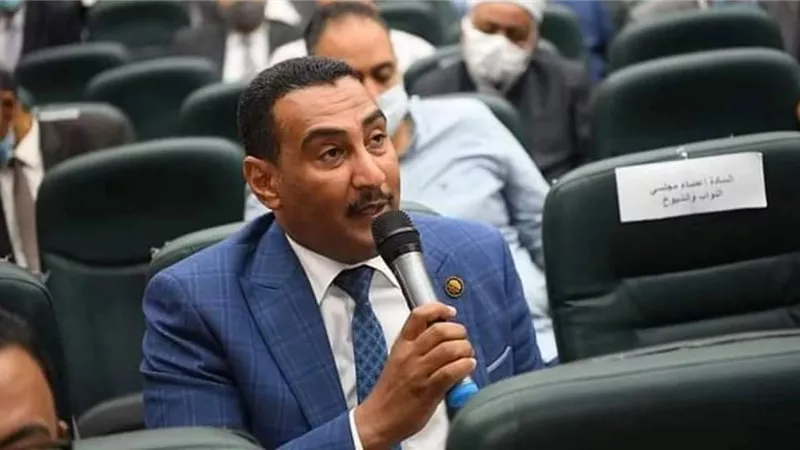 الجبلاوي: قرار البرلمان الأوروبي بشأن مصر يعتمد على الاكاذيب