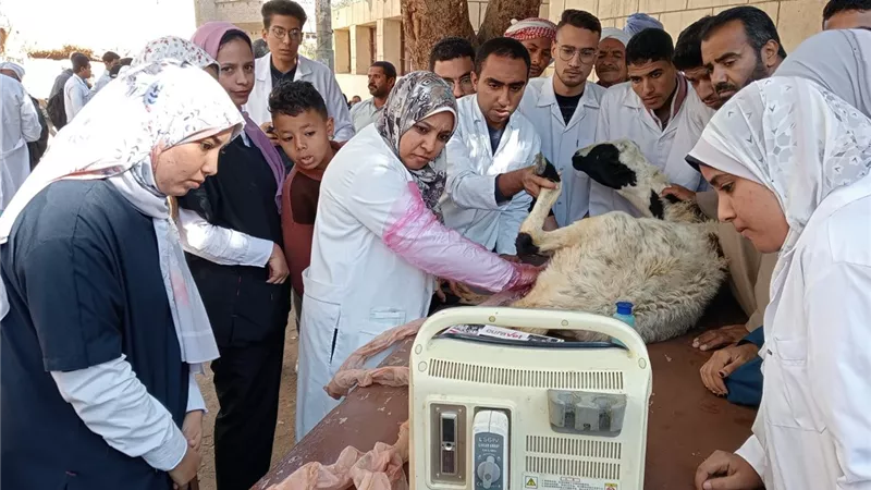 جامعة جنوب الوادى تنظم قافلة طبية بيطرية بنجع العروبة بقرية البراهم