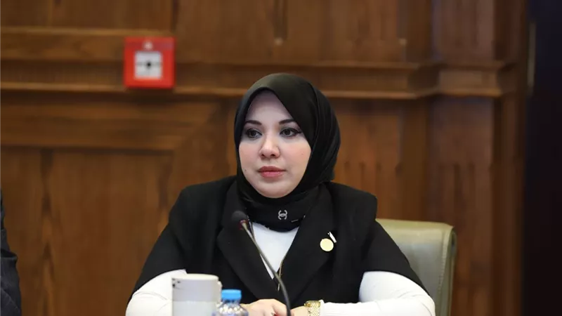 دينا هلالي: البرلمان الأوروبي يتبع نظرة أحادية ضد مصر تفتقر للموضوع