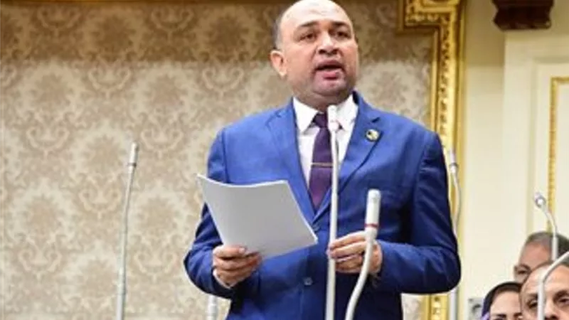 أحمد أبو زيد: بيان البرلمان الأوروبى تدخل سافر في الشأن الداخلي