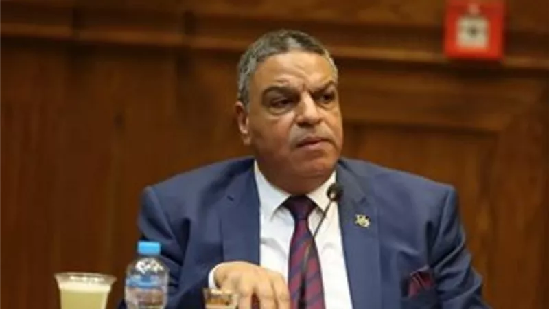 السيد جمعة: بيان البرلمان الأوروبي تحامل غير مقبول ضد مصر