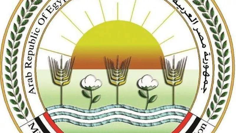 الزراعة: الإفراج عن 756 ألف طن ذرة وفول صويا وإضافات أعلاف