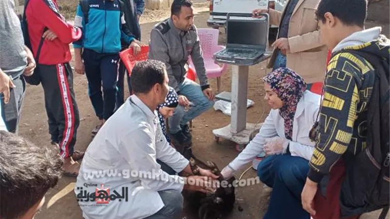 جامعة السادات تنظم قافلة بيطرية وزراعية مجانية فى قرية