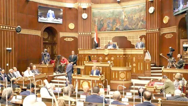 انتفاضة برلمانية.. ضد المغالطات الأوروبية