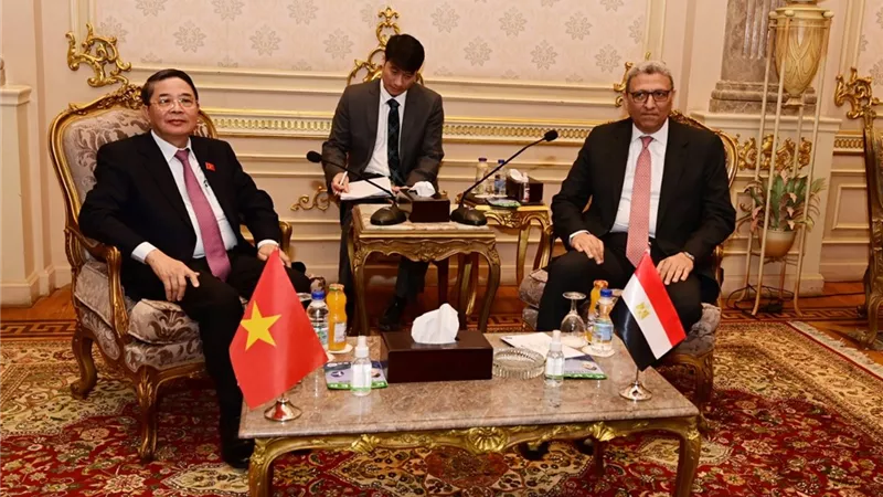 المستشار أحمد سعد الدين يلتقي نائب رئيس الجمعية الوطنية الفيتنامية