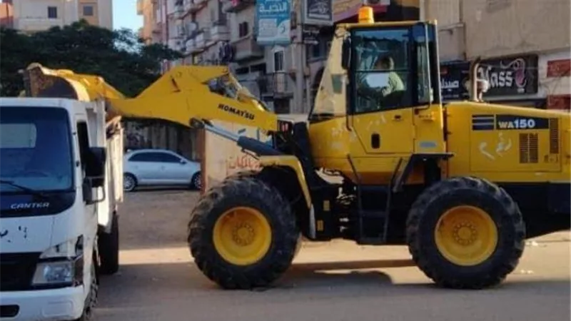 زراعة أشجار ورصف الطرق وحملات نظافة بكفر الشيخ