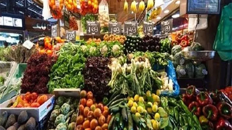 نجاح فاق التوقعات.. تفاصيل اليوم الأول لإطلاق البورصة المصرية للسلع