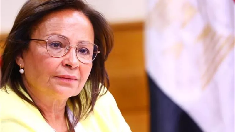 تعيين المهندسة نيفين عثمان أمينا عاماً للمجلس القومى للطفولة والأمومة