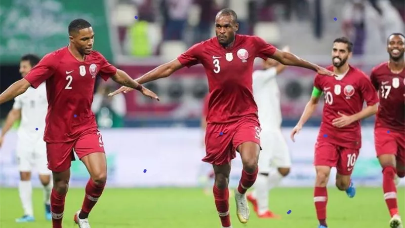 كأس العالم: هولندا تسعى لتخطى قطر لحجز بطاقة التأهل