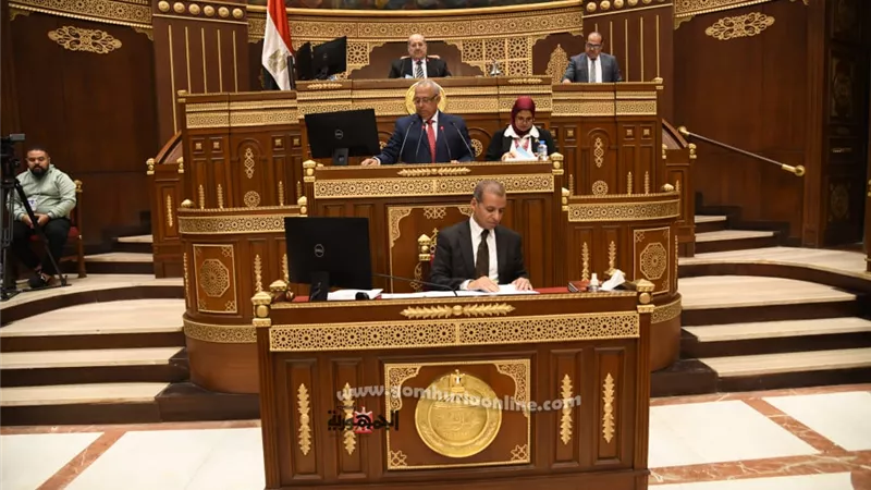 الشيوخ: لكل من لم يستكمل الأدوار المخالفة.. القانون يسمح لك بالبناء بشروط