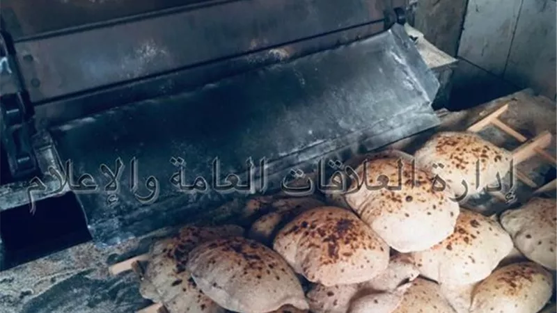 تحرير ٣١ محضرًا متنوعًا لمخابز ومحلات الإسماعيلية
