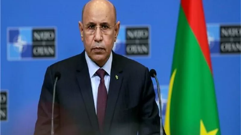 حكومة موريتانيا تصادق على اتفاقية قرض مع الصندوق العربى للإنماء