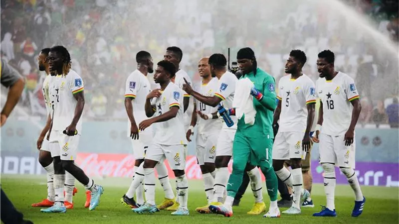الالمانى دانيال سيبيرت حكما لمباراة غانا وأوروجواي بكأس العالم