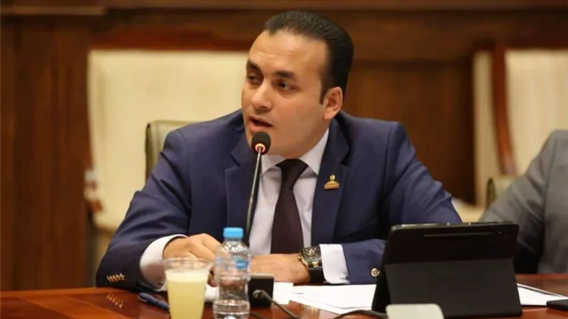 برلماني : مدينة المنصورة الجديدة ستجذب استثمارات متعددة الأنشطة