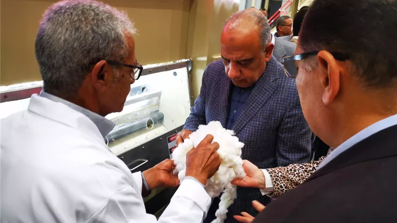 قطاع الأعمال: بيع 890 ألف قنطار ضمن منظومة تداول القطن حتى الآن