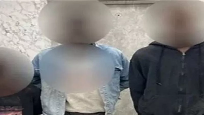 قطعوا كف يد السائق.. مشاجرة سودانيين ومصريين على كرسي الميكروباص