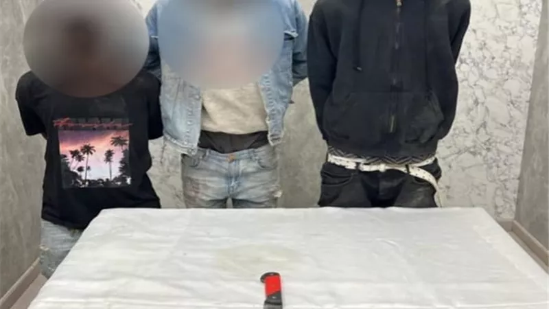 أصابوا السائق ببتر فى اليد .. ضبط 3 أجانب ضربوا شخصين بالقاهرة