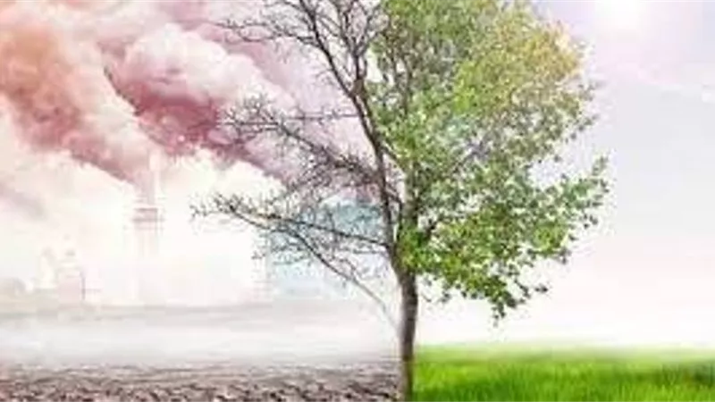 تلوث الهواء يتسبب في مليون جنين