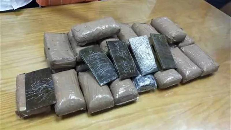 ضبط 60 طربة حشيش قبل ترويجها بالشرقية