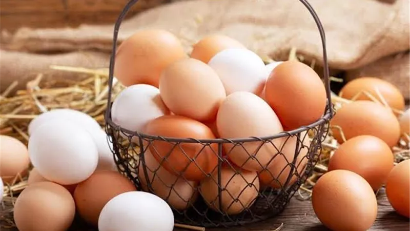 اسعار البيض اليوم الأحد 4-12-2022
