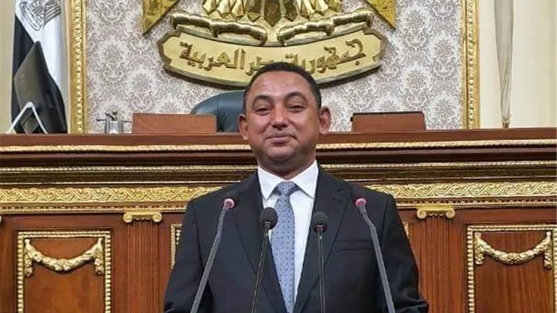 د. ناصر عثمان عضوا بـ لجنة تعديل قانون الإجراءات الجنائية