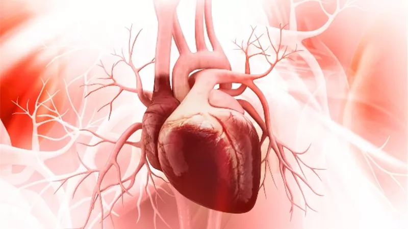 للوقاية من أمراض القلب والأوعية الدموية.. الصحة تحذر من 4 أمور تهدد صحة الإنسان