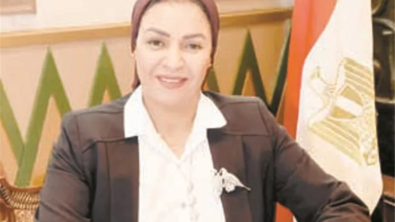 المزلاوي: الافراج عن الأعلاف خطوة للسيطرة علي اسعار الداوجن واللحوم