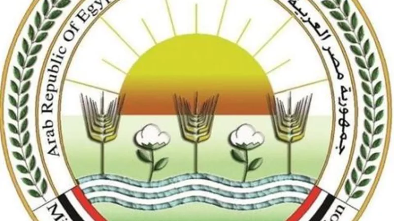 الزراعة:الإفراج عن 84 ألف طن أعلاف خلال الأسبوع الماضى